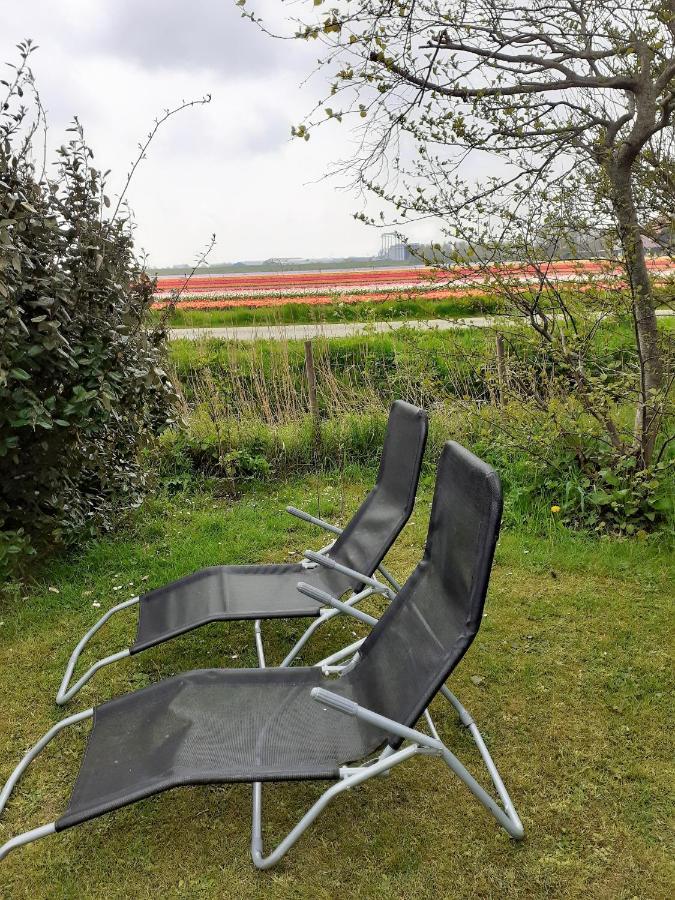 4 Persoons Ingerichte Tent Op Kleine Camping Hotel Anna Paulowna Eksteriør billede