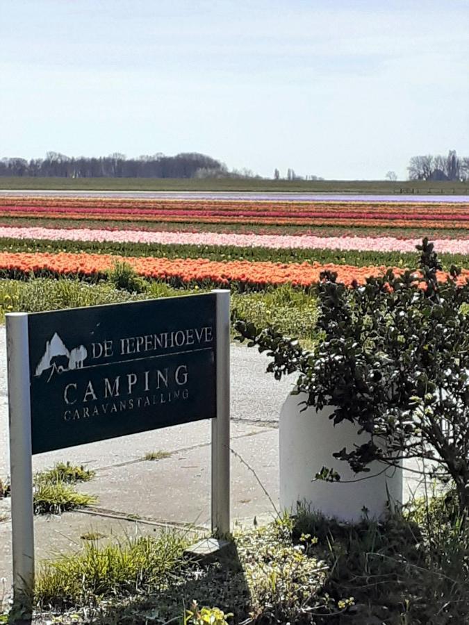 4 Persoons Ingerichte Tent Op Kleine Camping Hotel Anna Paulowna Eksteriør billede